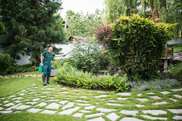 Best Ant Control Services  in Duvall, WA