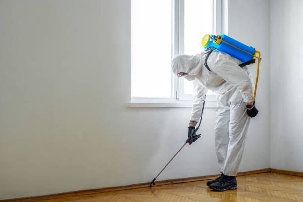 Best Best Pest Control Companies  in Duvall, WA