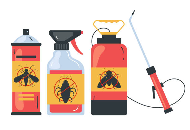 Best Termite Control Services  in Duvall, WA