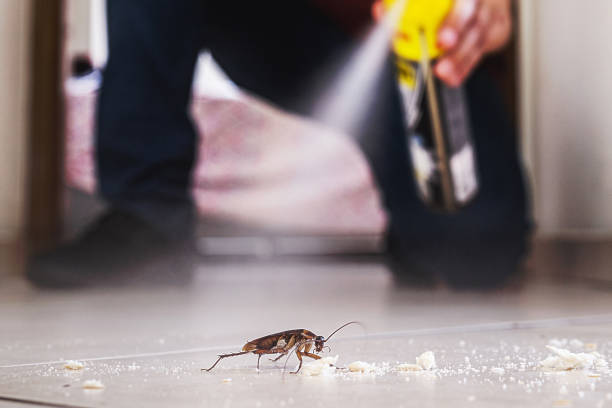 Best Flea Control Services  in Duvall, WA