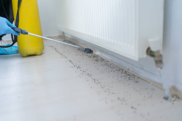 Best Best Pest Control Companies  in Duvall, WA