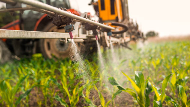 Trusted Duvall, WA Pest Control Experts