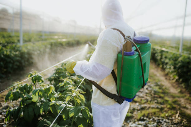Best Cockroach Control Services  in Duvall, WA